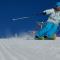 Chalet Les Lupins T2