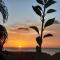 Oasis Grande Anse