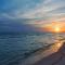 BeachCrest 501