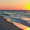 BeachCrest 501