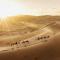 Sam Desert Luxury Resort