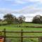 Swallows - Uk41742
