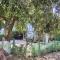 Ivys Home Stay