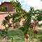 Podere Chiaromonte