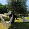 Quinta de S. Vicente 317