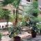 Royal lux Guest House