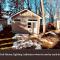 Lakefront Pine Cottage Hot Tub & Fire Pit
