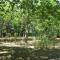 Camping Le Rebau photo 8