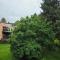 Apartamenty KORONA