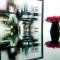 Thikana Delhi ( Boutique B&B)
