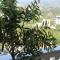 Elizabeth Apartments Himare