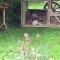 B&B Le Manoir dAnge