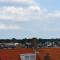 Divi Divi Zandvoort