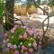 Bed & Breakfast Pansion Rade