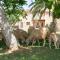 Agroturismo Es Quatre Cantons - Binissalem