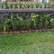 NN Homestay