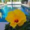 LHermine Occitane B&B