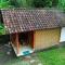 Tereng Wilis Jungle Inn