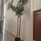 Lazuli Penthouse City Center Ap 5