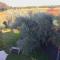 Agriturismo la Canonica