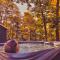 Chic treehouse With Pedal Boat, Hot Tub,fire Pit