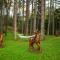 SPA Hotel Infinity Park Velingrad
