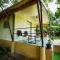 Fireflies Kabini