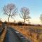 5 person holiday home in Millinge