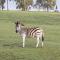 Vaal Dam Getaway