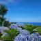 Ocean View - Nordeste