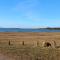 5 person holiday home in Rørvig-By Traum