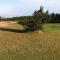 5 person holiday home in Store Fuglede-By Traum