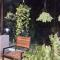 Haritha Holidays