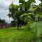 Pensiunea Belleview