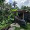 Royal Amertha Ubud Jungle View