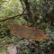 Veluwe Nature Home - 2 persons
