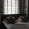 Apartament Lipowa