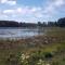 5 person holiday home in Ulfborg-By Traum