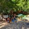 Canoa Roots Hostel & Camping