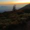 Nio Homestay and Tour