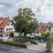 Goldammer Aschaffenburg