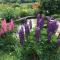 Studio Au jardin fleuri