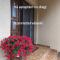Nárcisz B&B