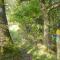 5 star holiday home in Hovborg-By Traum