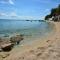 Apartments Davor Ceko