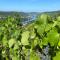 Apartment an der Mosel 1