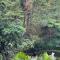 Palm Grove Lodge
