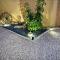 Nefeli's Dollhouse Caravan 3 minutes from Geroskipou Beach