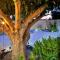 Nefeli's Dollhouse Caravan 3 minutes from Geroskipou Beach