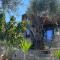 Villa Tramonto DOro